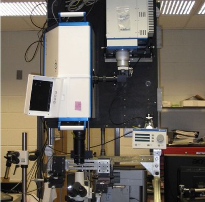 Ultra-fast 2D imaging system reveals secrets of drug delivery mechanism